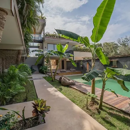 Luxury Oasis Vibes Jungle Retreat Beach Access